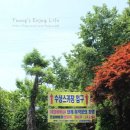 하이마트수상스키