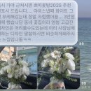 카라네일 - 고양시 일산동구 | W3.부산 웨딩스냅 드레스/정장/부케/메이크업/네일 계약 후기 (브라이드하우스,에르디토,쁘띠꽃방2025...