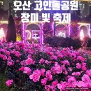 오산 고인돌공원 장미빛축제 장미명소 야경 후기