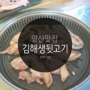 김해생뒷고기막창 - 20566 | 양산 뒷고기 맛집, 김해 生뒷고기