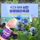 2026년 제 3회 서천 블루베리 축제 2일차 방문 후기