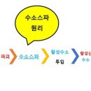 미샾스킨케어