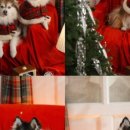 월드컵대로484번길 이미지