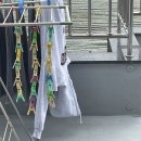 파마이모써니 | 전지적 이모시점 유차니편 -7