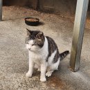 함열중앙로 이미지