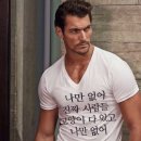 나만 없어 고양이 이미지