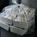 도시락&샌드위치 | 청주 샌드위치 단체주문 후기 도시락 맛집 샌그리닝