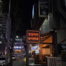 대전 참치맛집 봉명동 포장마차 참치정육점 오픈 후기