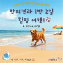 펫 - 양주시 북한산로 924 | 펫