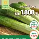 안양농협 하나로마트 ❤️안성 아삭 오이 &amp; 햇 마늘❤️ 특가행사 이미지