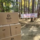 서초구립 양재별하어린이집 이미지