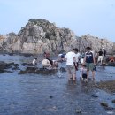 거성초등학교 이미지