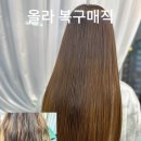 올라헤어닥터