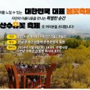 3월13일 전남구례산수유축제.구례화엄사.사성암. 이미지