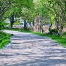 우포늪주차장 이미지