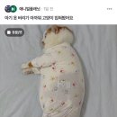 그래도 사랑해 이미지