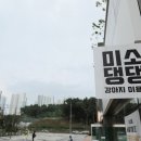 미소애견 미용실 이미지