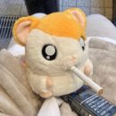 옥타바리움 라이브홀 | 20251128 笑顔で染めた季節 - 키라펫토 해산, 사무 졸업 겐바