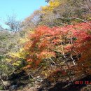 산림문화휴양관 이미지