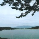 방어리 방지 Daum카페