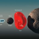 (주)정진약품 이미지