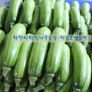 병풍농장 이미지