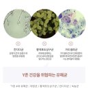 닥터릭스 이미지