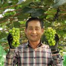 김인석농장 이미지