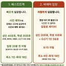 바티칸 | 바티칸 투어 솔직후기 패스트트랙 추천 할인 예약 정보