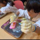 가촌리 1269 | 양산 STS 과학실험 키즈카페 | 주말 예약제 과학체험 &amp; 소규모 수업 후기