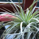 회현중학교 이미지