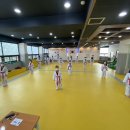 용인대골드태권도장 이미지