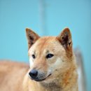 2025년 6월 19일 곽장근 선생님 견사 방문 이미지