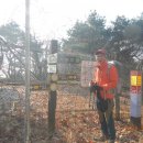 김재로묘 이미지