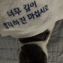 이천이십오, 사