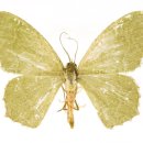 두리장식 이미지