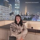 전 세계 미술관 여행 | [파이어족 세계여행-도쿄 2주 여행 3일차][네즈 미술관,네즈 카페][모리미술관,도쿄타워 전망]