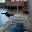 베스트힐링약국