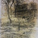 北 6·25때 서울대병원 1000명 총살… 진실화해위 이제야 '학살' 인정 이미지