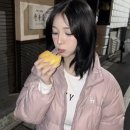 미모고양이 이미지