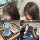 범계 미용실 뿌리염색 깔끔하게 잘 하는 살롱드잇 범계점 후기