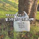 이안에 | 백패킹 쿨러 종결? 힐그라운드 '이안에맛있는거있다' 내돈내산 솔직 후기