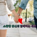 함께하는세상