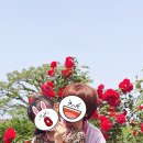 조수1리사무소 이미지