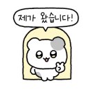 시즈널시그널