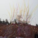 웅포관광지 이미지