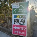 여수 꿈에그린 애견펜션 네이버블로그