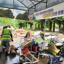 서귀포복권 헤드라인제주