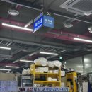 돼지네 | 선재도 회센터 : 돼지네 내돈내산 후기 (장어, 새우, 전어)