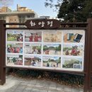 느티나무공원 이미지